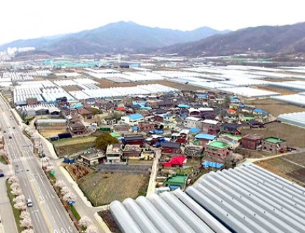 황악산반곡포도정보화마을